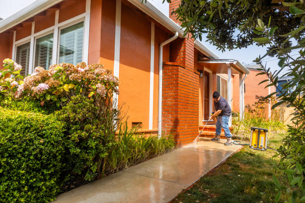 Best Pressure Washing Near Me  in San Rlos, CA